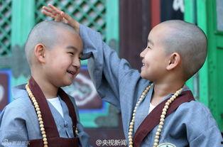 国产小和尚图片视频网站