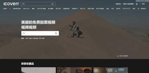 欧美乱码伦视频免费国产,揭秘网络视频的暗流涌动